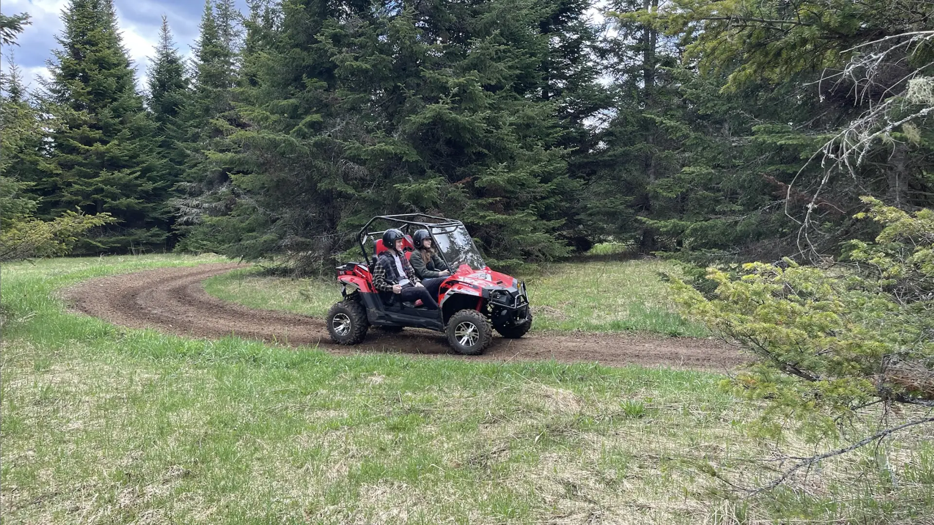 A red UTV sits on a well ridden trail in the grass in front of a large pine tree